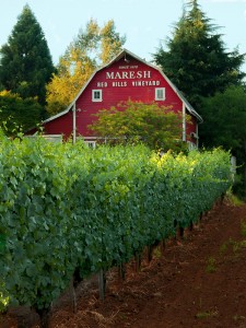 Maresh Red Barn tasting Room and Maresh Vineyard